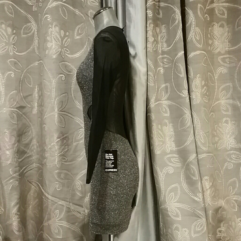 Express Dress - Picture 3 of 8
